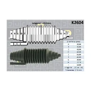 K2604 DA SILVA