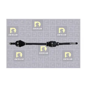 9819435780 CITROEN/PEUGEOT