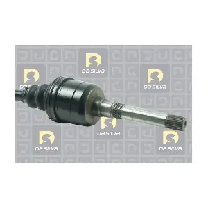 DA SILVA 311236T