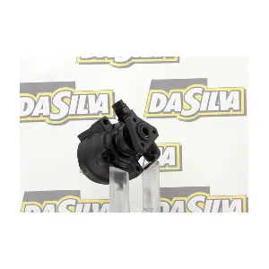 DP2252 DA SILVA