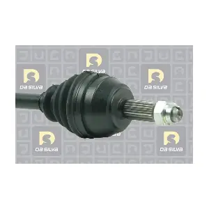 DA SILVA 6165T