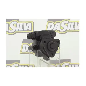 DP2021 DA SILVA