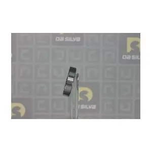 60072RS DA SILVA