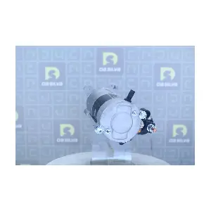 DA SILVA 041498