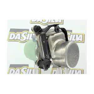 DPN1461 DA SILVA
