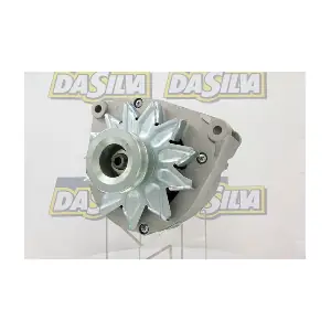 DA SILVA 011011