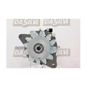 40195 DA SILVA