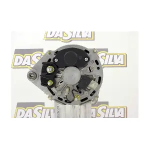 DA SILVA 050113