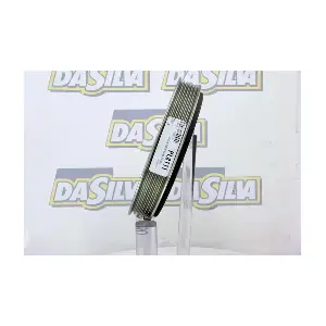 PL8111 DA SILVA