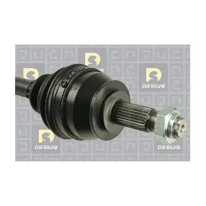 DA SILVA 31287T