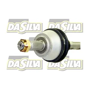 5246T DA SILVA