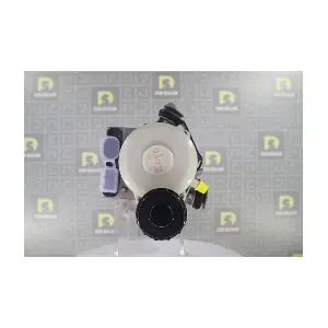 DPN1475 DA SILVA