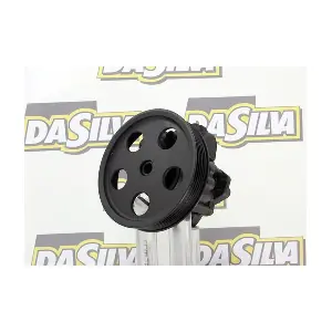 DP2906 DA SILVA