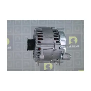 DA SILVA 011213