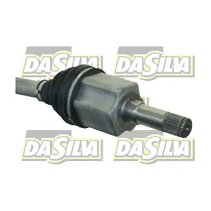 31433T DA SILVA