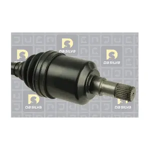 31415T DA SILVA