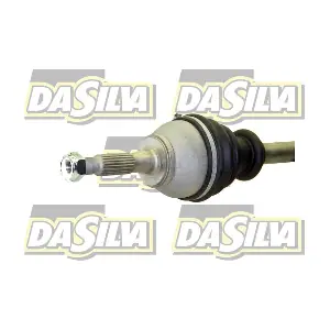 430T DA SILVA