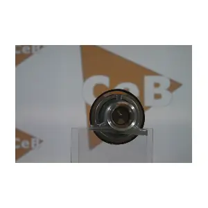 GR6113 DA SILVA