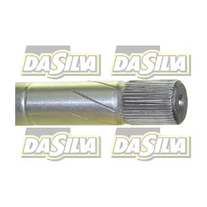 4319T DA SILVA