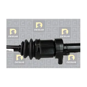 4746T DA SILVA