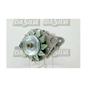 DA SILVA 013482