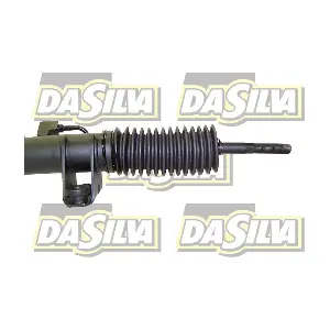 DAN0203 DA SILVA