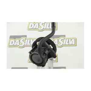 DP2940 DA SILVA