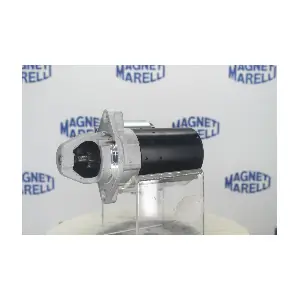 DA SILVA MSQ0133