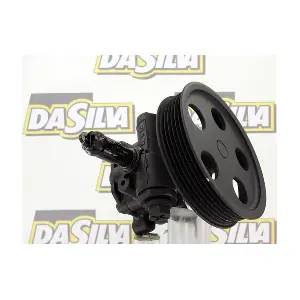 DP3171 DA SILVA