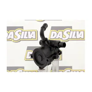 DP3174 DA SILVA