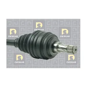 DA SILVA 31261T