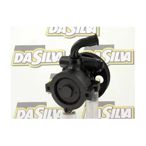 DP2597 DA SILVA