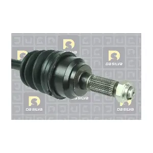 JC94024 DA SILVA