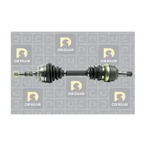 DA SILVA JC31229B