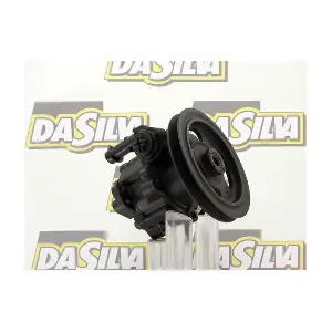 DP2009 DA SILVA