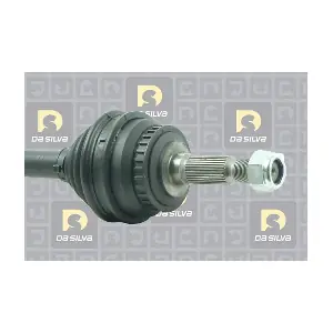 DA SILVA 50024AT