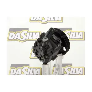 DP3011 DA SILVA