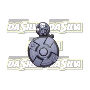 DA SILVA 020612