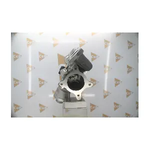CB419 DA SILVA