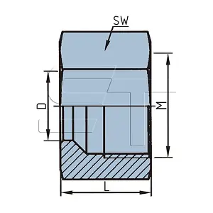 146142 DAF