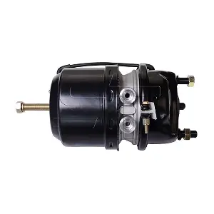 1519194 DAF
