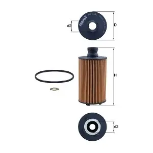 OX 1141D KNECHT