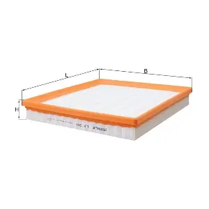 LX981 KNECHT
