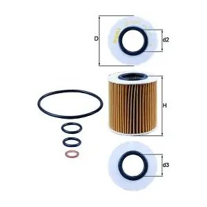 OX166/1D KNECHT