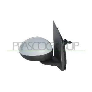PRASCO CI2017123P
