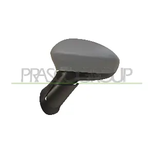 FT3427214P PRASCO