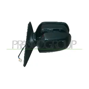 MZ0497334 PRASCO
