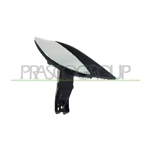FT5208601 PRASCO