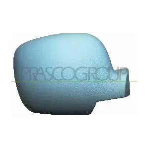 RN9187413 PRASCO