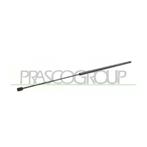 PRASCO FT9089055